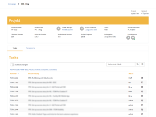 PFX Portal - Standard Ticket für Projekte